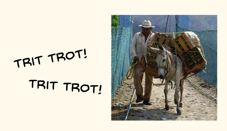 interviewing farmers 3 cover